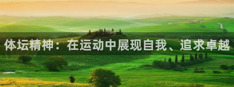 体坛精神：在运动中展现自我、追求卓越