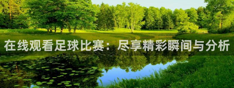 在线观看足球比赛：尽享精彩瞬间与分析
