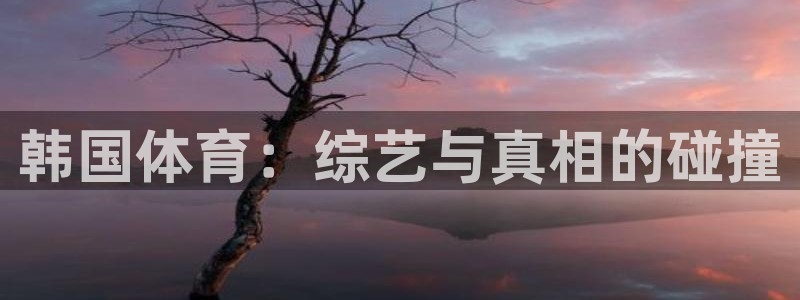 韩国体育：综艺与真相的碰撞