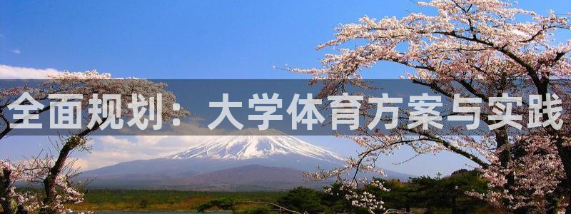 全面规划：大学体育方案与实践