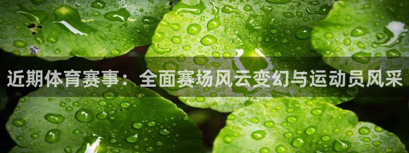 乐球直播(无插件)