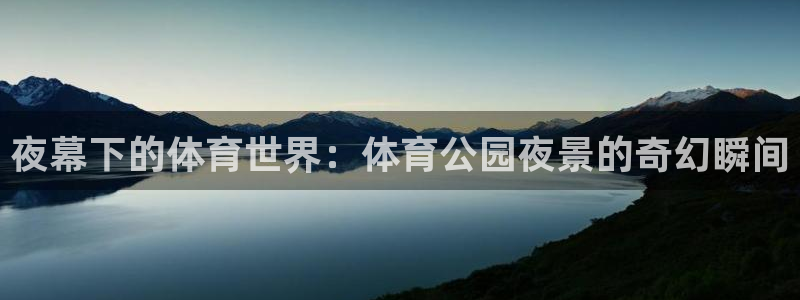 乐球直播在线观看免费高清：夜幕下的体育世