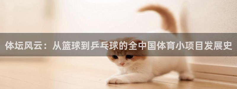 nba乐球