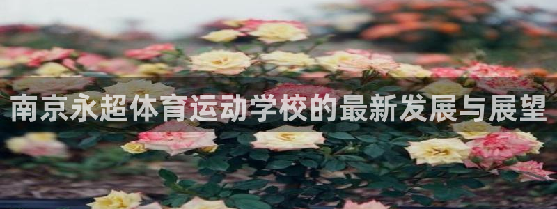 乐球在线观看免费直播 2023