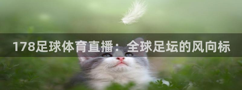乐球小鱼儿直播在线观看：178足球体育直